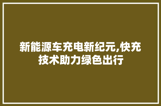 新能源车充电新纪元,快充技术助力绿色出行