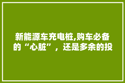 新能源车充电桩,购车必备的“心脏”，还是多余的投资