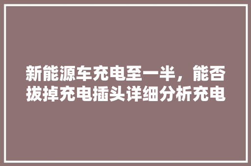 新能源车充电至一半，能否拔掉充电插头详细分析充电习惯与安全