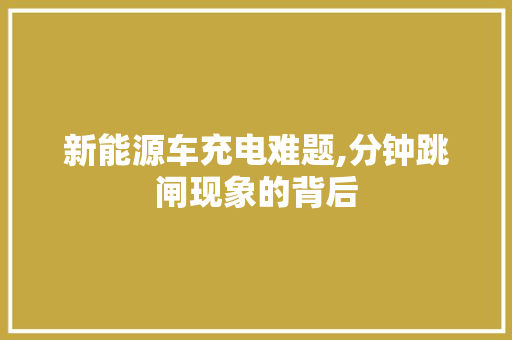 新能源车充电难题,分钟跳闸现象的背后