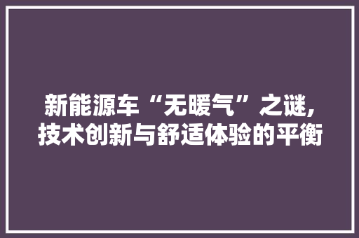 新能源车“无暖气”之谜,技术创新与舒适体验的平衡之路 车型评测