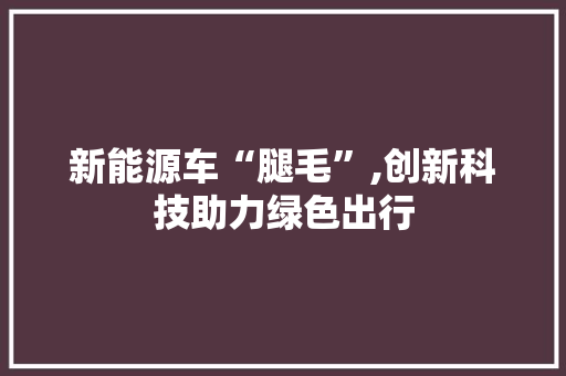 新能源车“腿毛”,创新科技助力绿色出行 汽车保养