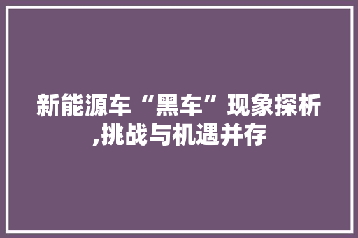 新能源车“黑车”现象探析,挑战与机遇并存