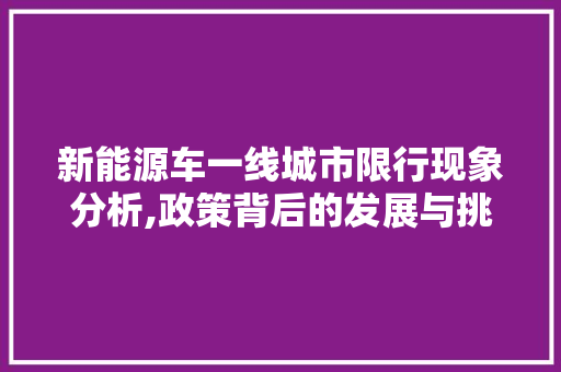 新能源车一线城市限行现象分析,政策背后的发展与挑战