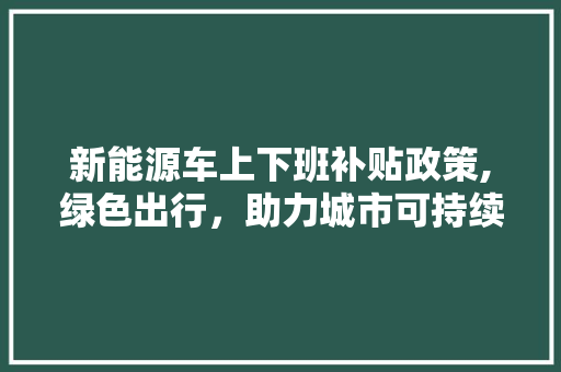 新能源车上下班补贴政策,绿色出行，助力城市可持续发展