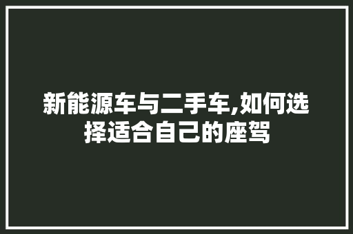 新能源车与二手车,如何选择适合自己的座驾