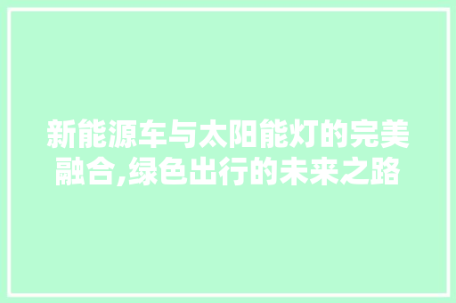 新能源车与太阳能灯的完美融合,绿色出行的未来之路