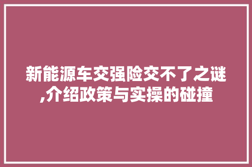 新能源车交强险交不了之谜,介绍政策与实操的碰撞