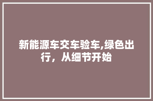 新能源车交车验车,绿色出行，从细节开始