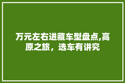 万元左右进藏车型盘点,高原之旅，选车有讲究