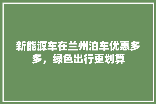 新能源车在兰州泊车优惠多多，绿色出行更划算 车型评测
