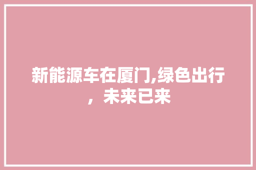 新能源车在厦门,绿色出行，未来已来
