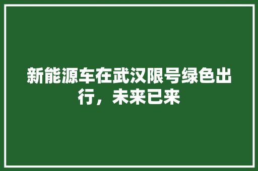 新能源车在武汉限号绿色出行，未来已来
