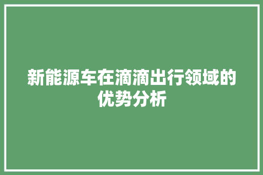 新能源车在滴滴出行领域的优势分析