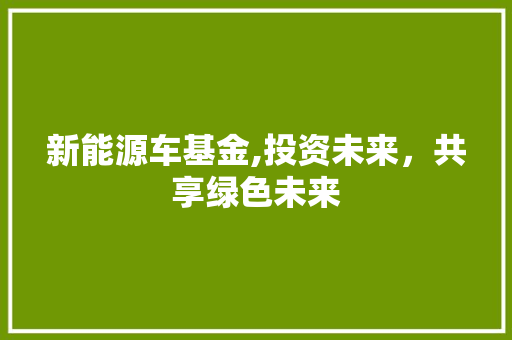 新能源车基金,投资未来，共享绿色未来