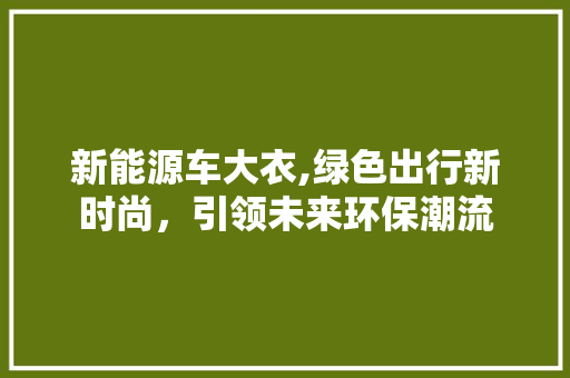 新能源车大衣,绿色出行新时尚，引领未来环保潮流