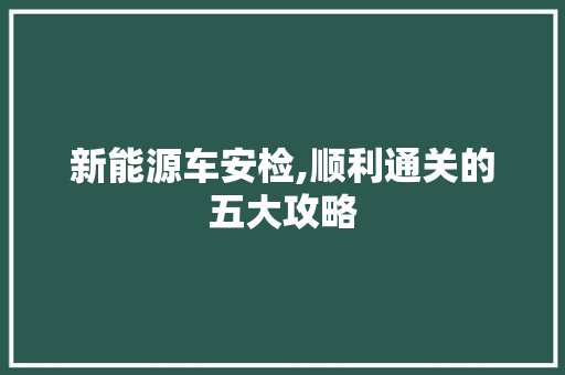 新能源车安检,顺利通关的五大攻略