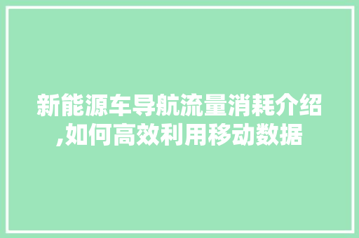 新能源车导航流量消耗介绍,如何高效利用移动数据