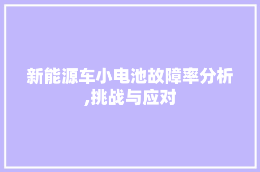 新能源车小电池故障率分析,挑战与应对