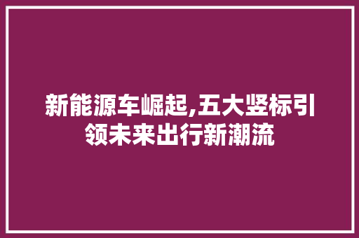 新能源车崛起,五大竖标引领未来出行新潮流