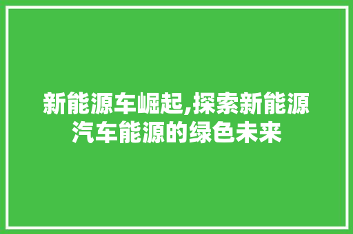 新能源车崛起,探索新能源汽车能源的绿色未来