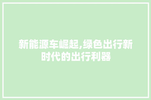 新能源车崛起,绿色出行新时代的出行利器