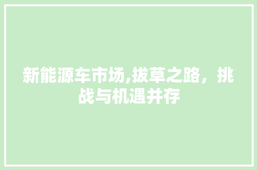 新能源车市场,拔草之路，挑战与机遇并存