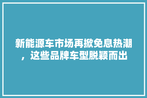 新能源车市场再掀免息热潮，这些品牌车型脱颖而出