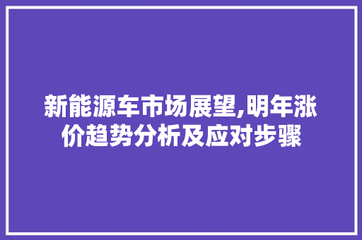 新能源车市场展望,明年涨价趋势分析及应对步骤