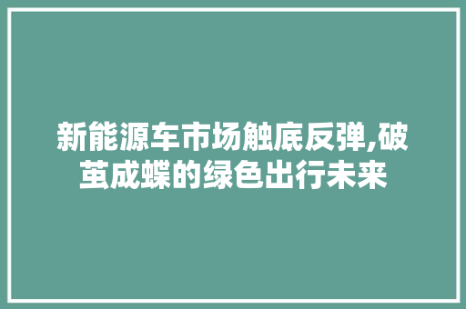 新能源车市场触底反弹,破茧成蝶的绿色出行未来
