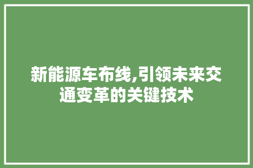 新能源车布线,引领未来交通变革的关键技术