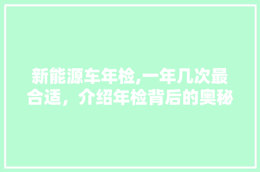 新能源车年检,一年几次最合适，介绍年检背后的奥秘