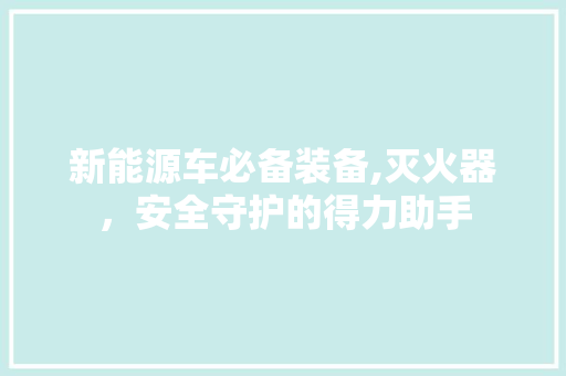 新能源车必备装备,灭火器，安全守护的得力助手