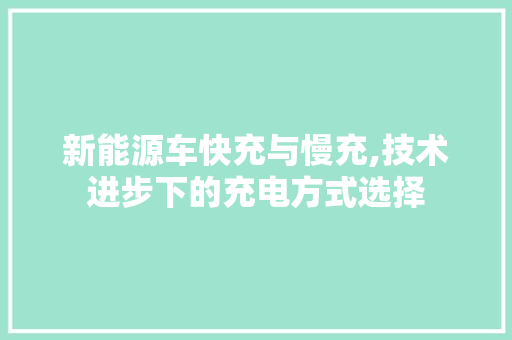 新能源车快充与慢充,技术进步下的充电方式选择
