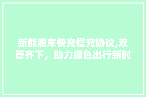 新能源车快充慢充协议,双管齐下，助力绿色出行新时代