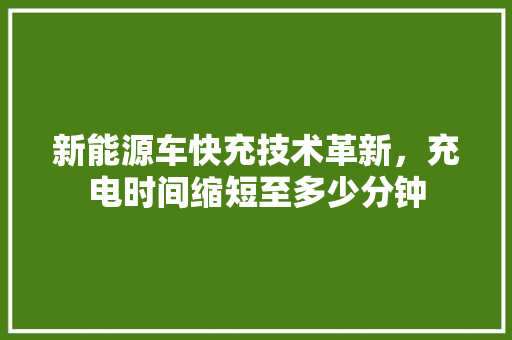 新能源车快充技术革新，充电时间缩短至多少分钟 汽车配件