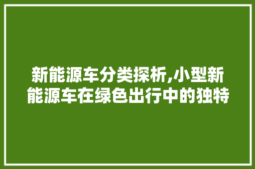 新能源车分类探析,小型新能源车在绿色出行中的独特地位