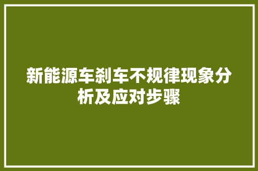 新能源车刹车不规律现象分析及应对步骤