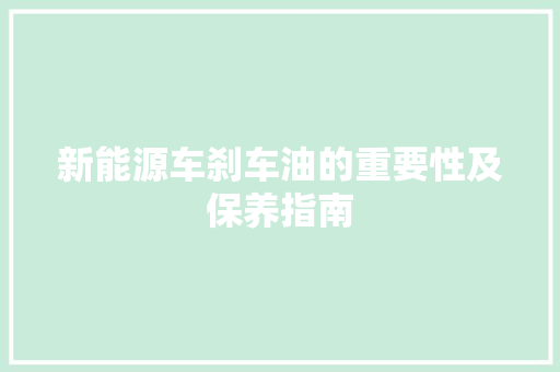 新能源车刹车油的重要性及保养指南