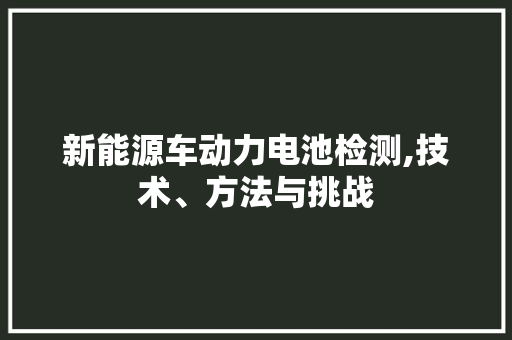 新能源车动力电池检测,技术、方法与挑战