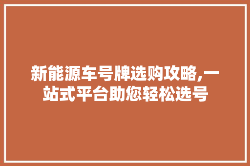 新能源车号牌选购攻略,一站式平台助您轻松选号
