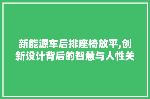 新能源车后排座椅放平,创新设计背后的智慧与人性关怀