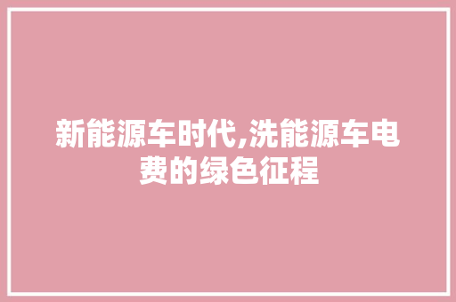 新能源车时代,洗能源车电费的绿色征程