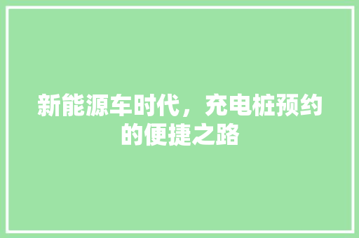 新能源车时代，充电桩预约的便捷之路