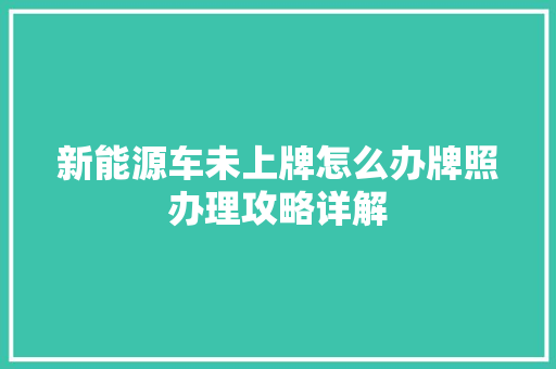 新能源车未上牌怎么办牌照办理攻略详解