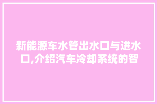 新能源车水管出水口与进水口,介绍汽车冷却系统的智慧之作