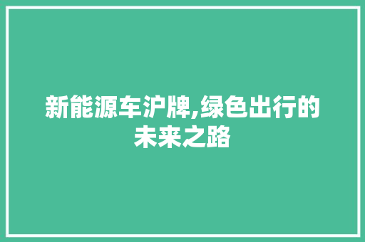 新能源车沪牌,绿色出行的未来之路