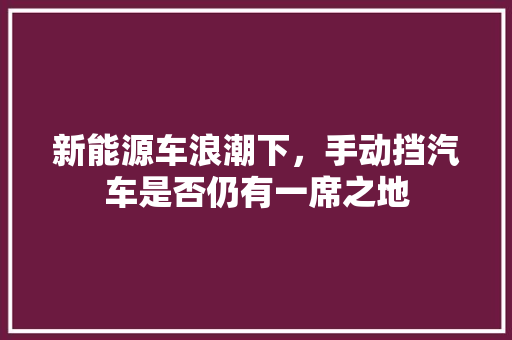 新能源车浪潮下，手动挡汽车是否仍有一席之地