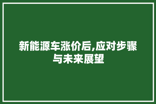新能源车涨价后,应对步骤与未来展望