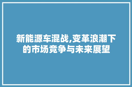 新能源车混战,变革浪潮下的市场竞争与未来展望